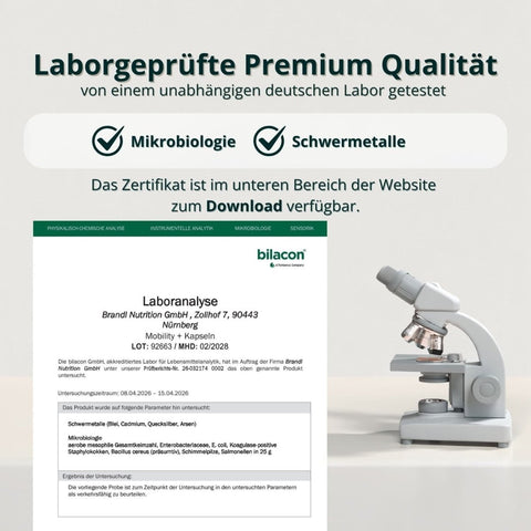 Weißer kompoundmikroskop mit metallischen komponenten und grauem sockel für mobility kapseln produkt