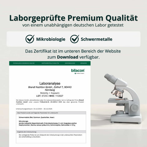 Mobility + Kapseln - Brandl Nutrition