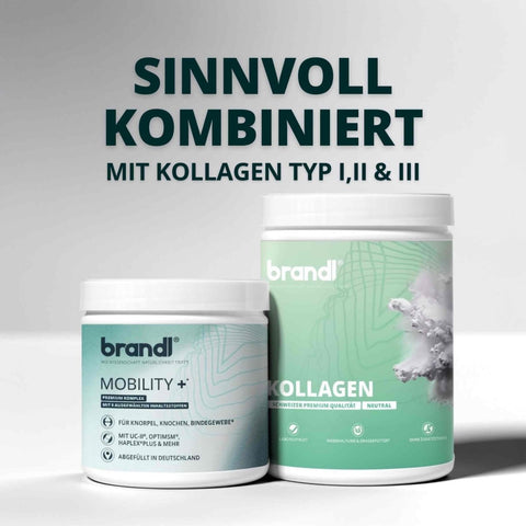Mobility + Kapseln - Brandl Nutrition