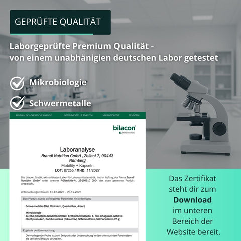 Mobility + Kapseln (Januar - Angebot) - Brandl Nutrition