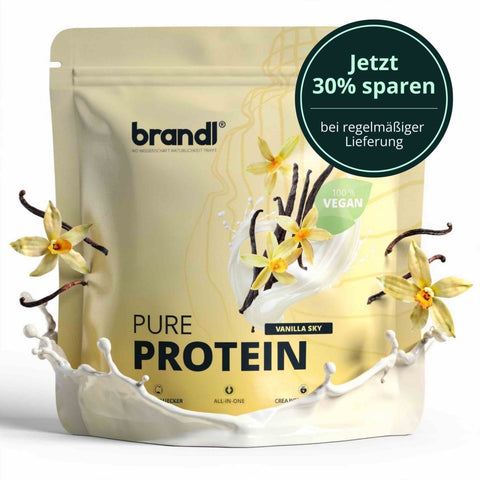 Post - Workout Vegan 2.0 - Brandl Nutrition