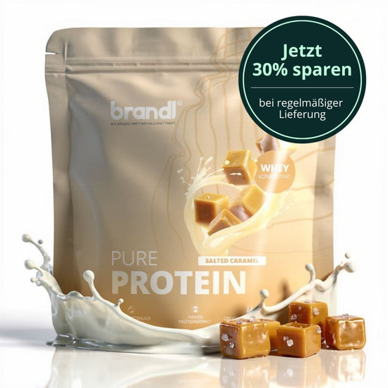 Brandl pure protein 2.0 salted caramel whey eiweiß in metallic gold pouch mit karamellstücken und milchspritzern