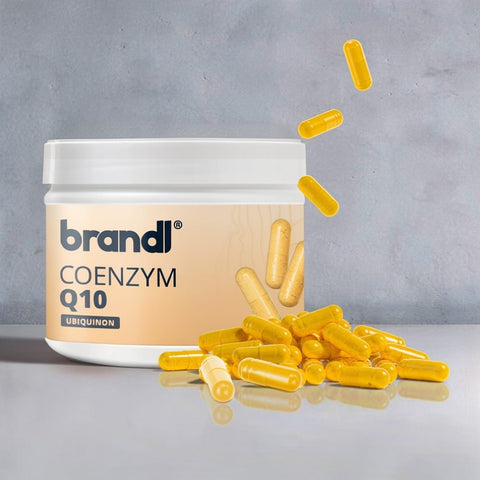 Coenzym Q10 Kapseln