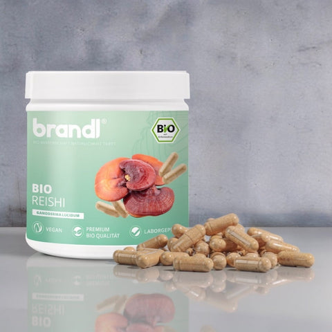 Bio Reishi Kapseln