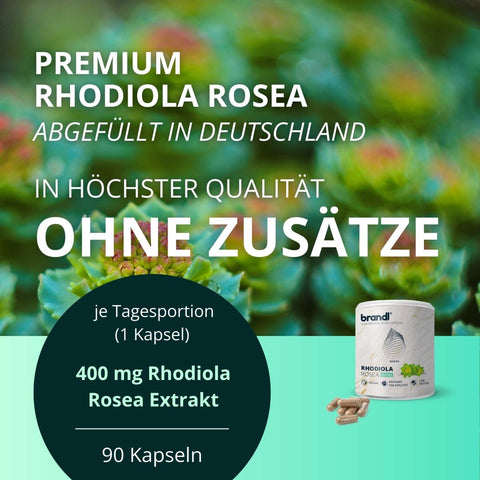 Rhodiola Rosea Kapseln - Brandl Nutrition