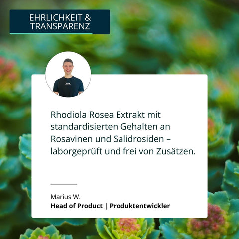 Rhodiola Rosea Kapseln - Brandl Nutrition
