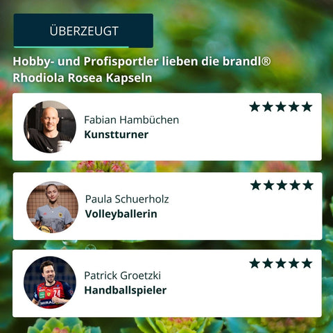 Rhodiola Rosea Kapseln - Brandl Nutrition