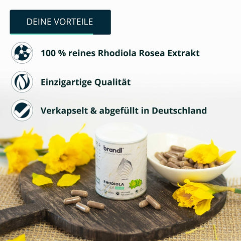 Rhodiola Rosea Kapseln - Brandl Nutrition