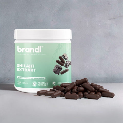 Shilajit Extrakt Kapseln