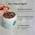 Shilajit Extrakt Kapseln - Brandl Nutrition