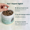 Weißer zylindrischer behälter mit hellgrünem label brandl shilajit extrakt und braunen kapseln für shilajit extrakt kapseln