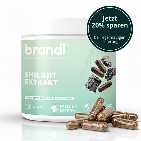 Ein hellgrüner zylinderförmiger behälter mit brandl shilajit extrakt kapseln und weißem deckel vorne liegend