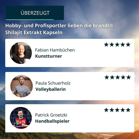 Shilajit Extrakt Kapseln - Brandl Nutrition