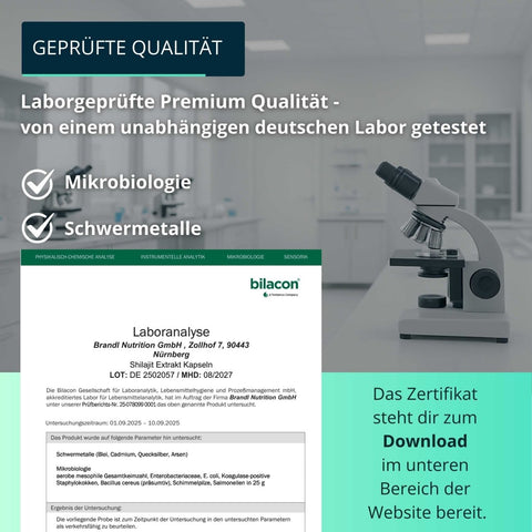 Shilajit Extrakt Kapseln - Brandl Nutrition