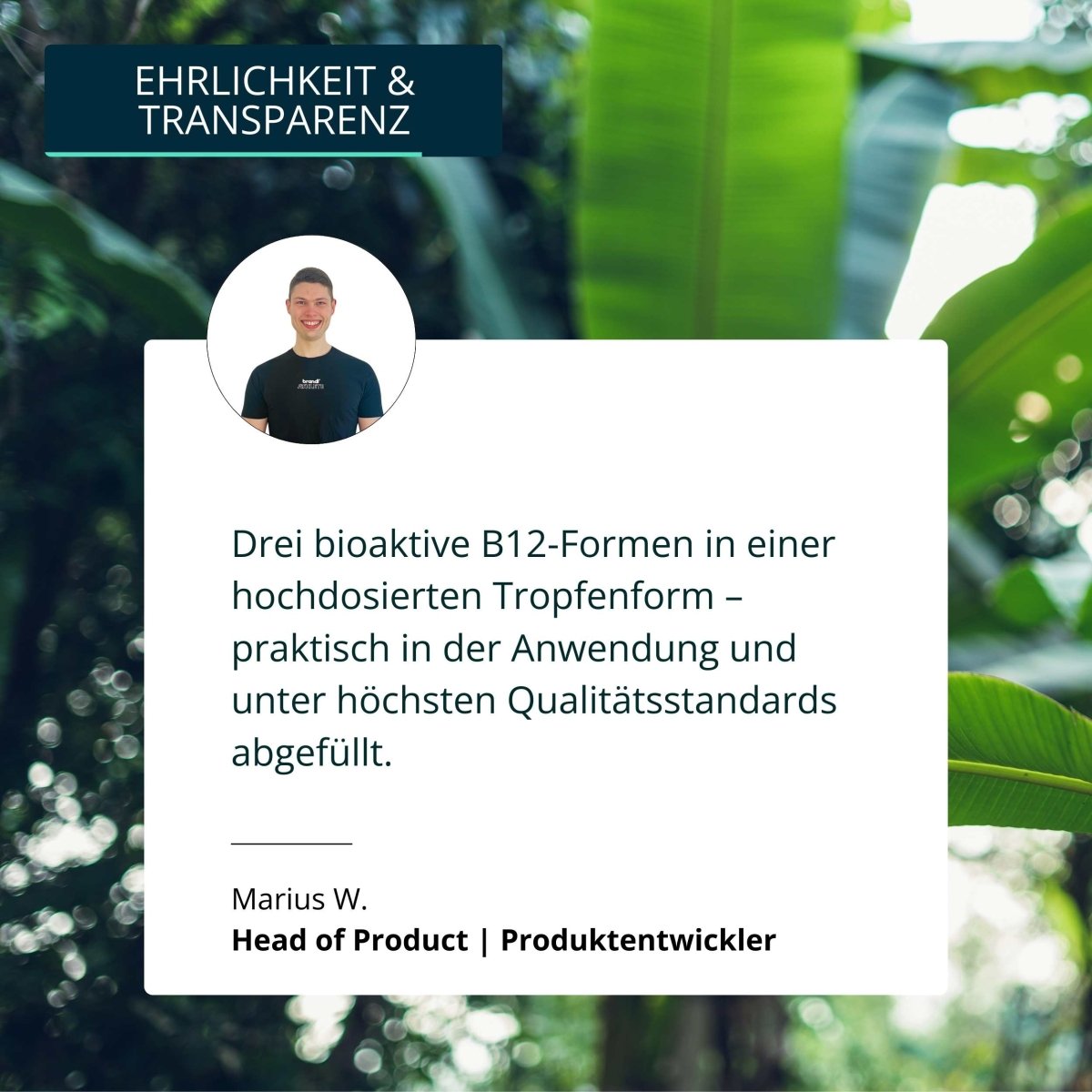 Vitamin B12 Tropfen - Brandl Nutrition