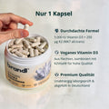 Eine hand hält eine weiße kapsel über einem offenen behälter mit brandl vitamin d3/k2 vegan kapseln im sport basics bundle