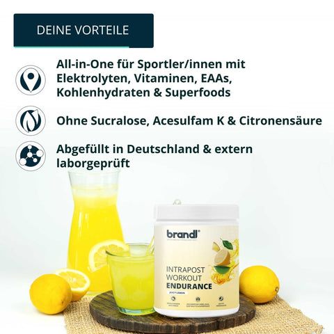 Workout Bundle - Brandl Nutrition