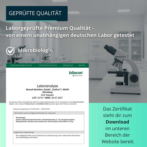 Zink Kapseln - Brandl Nutrition