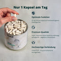 Zink Kapseln - Brandl Nutrition - Informationen