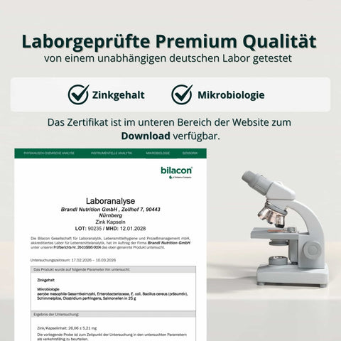 Zink Kapseln - Brandl Nutrition