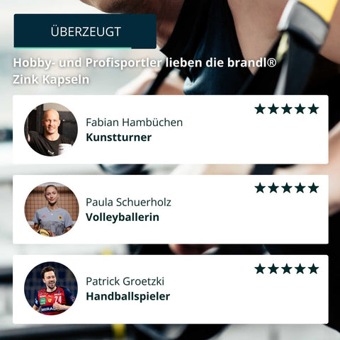 Zink Kapseln - Brandl Nutrition